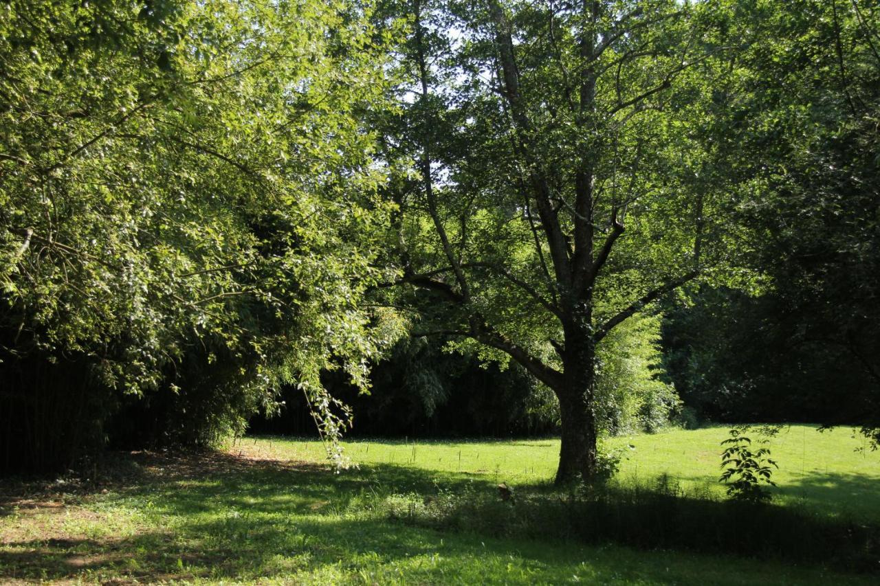 Au Petit Bernerot - Les Gites De L'Arbre Voyageur Eauze エクステリア 写真